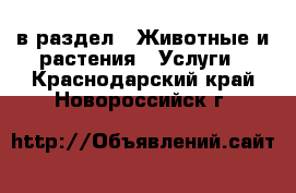  в раздел : Животные и растения » Услуги . Краснодарский край,Новороссийск г.